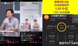 91大佬直播,揭秘网红背后的真实生活